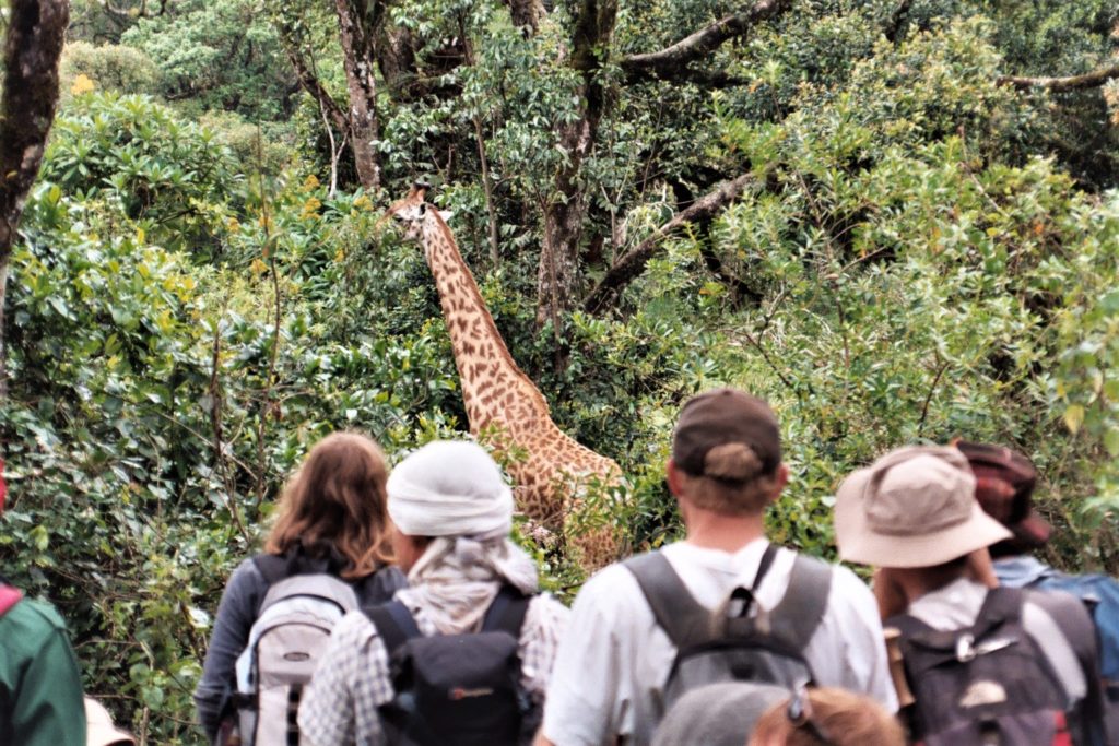 This image has an empty alt attribute; its file name is Meeting-a-giraffe-on-the-trail--1024x683.jpg