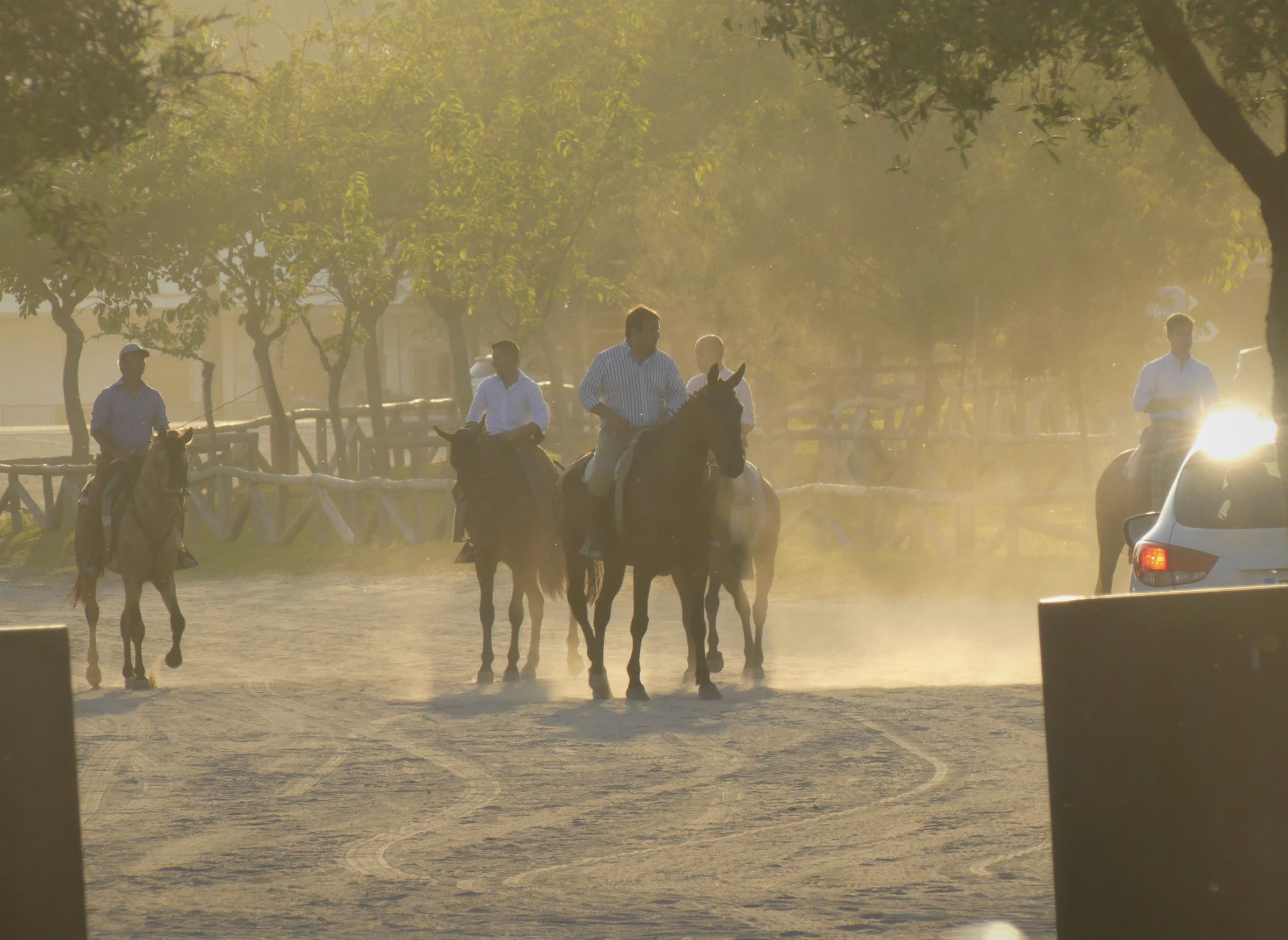 Sundown in El Rocίo, Doñana, Andalucia, Spain.