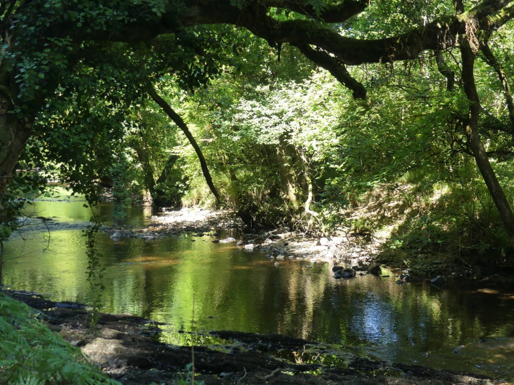 Teign River, Dartmoor, Devon, UK
