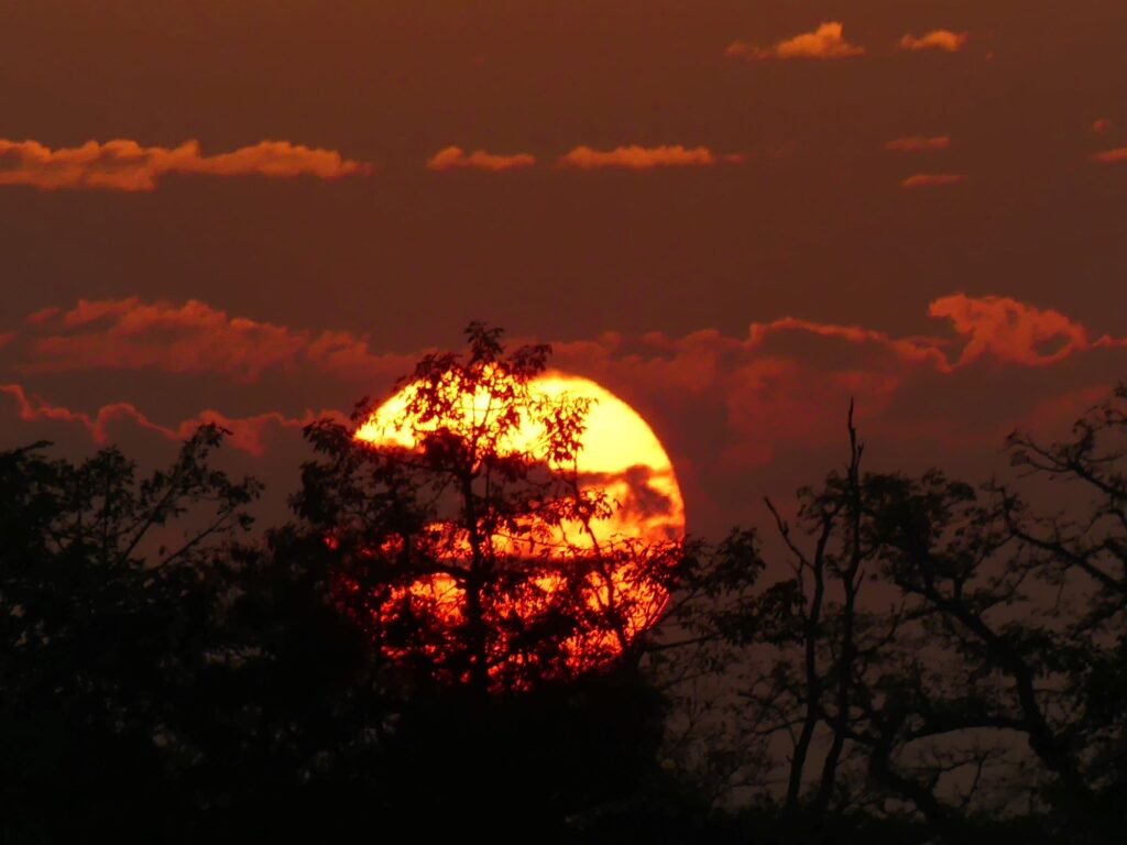 Sunset, Bardia National Park
