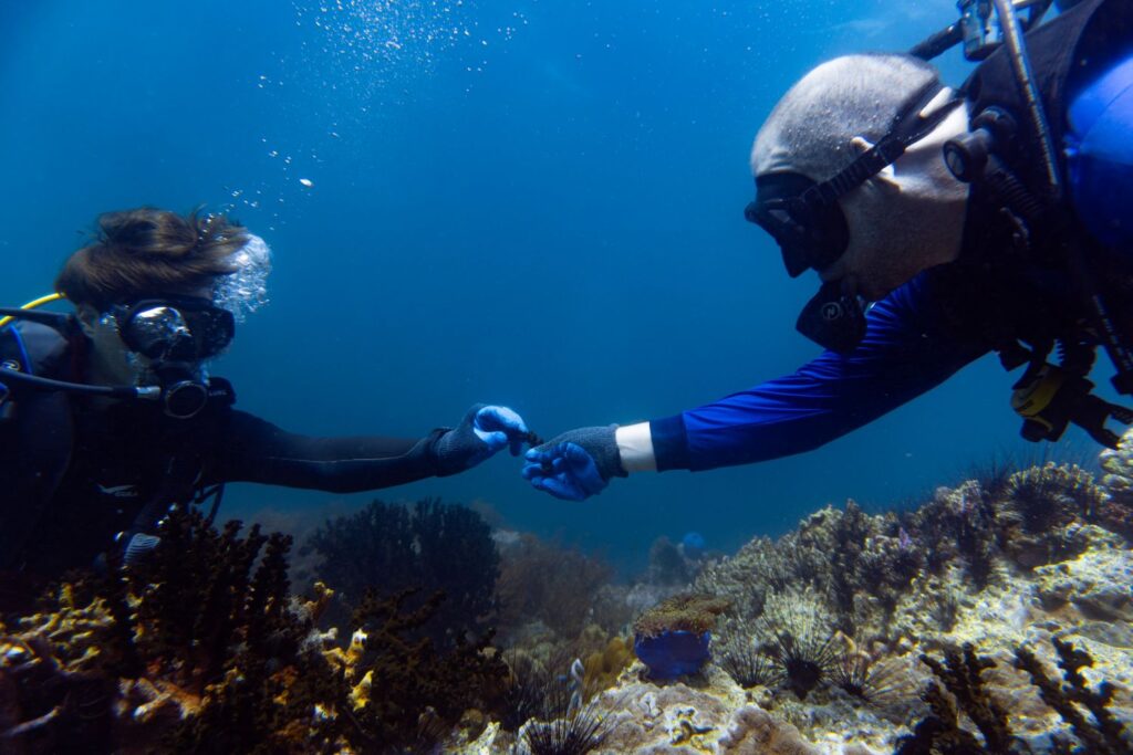 Kris handing the author a coral to replant on the coral reef.