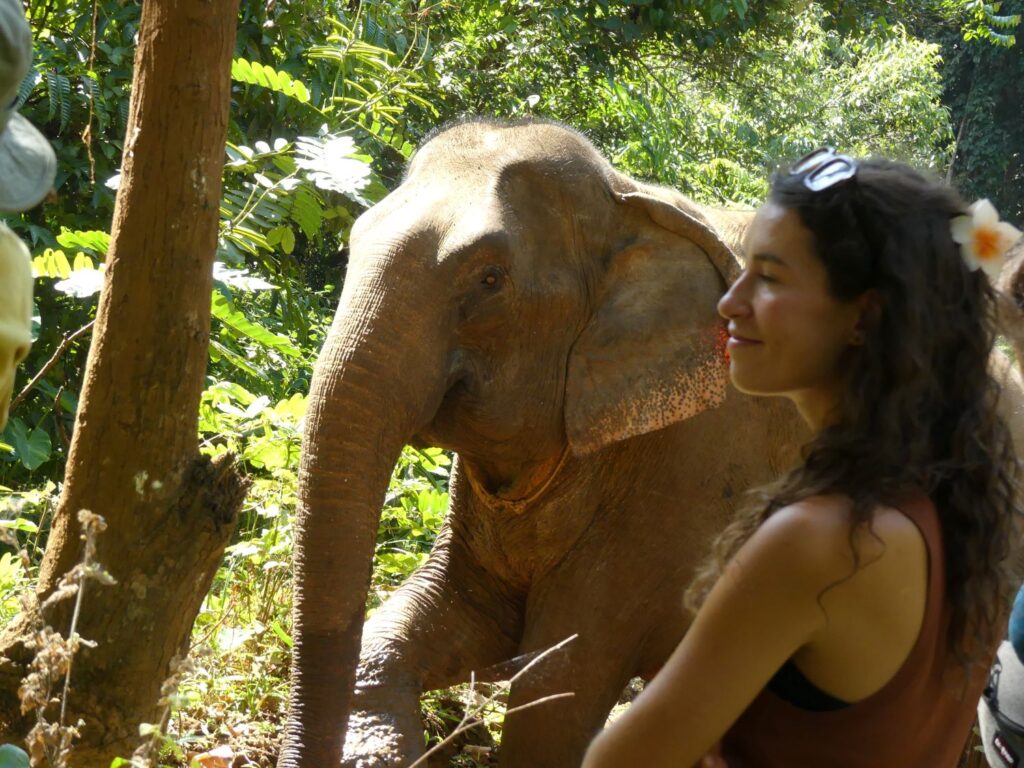 Sharing time with Asian elephant G-Bang