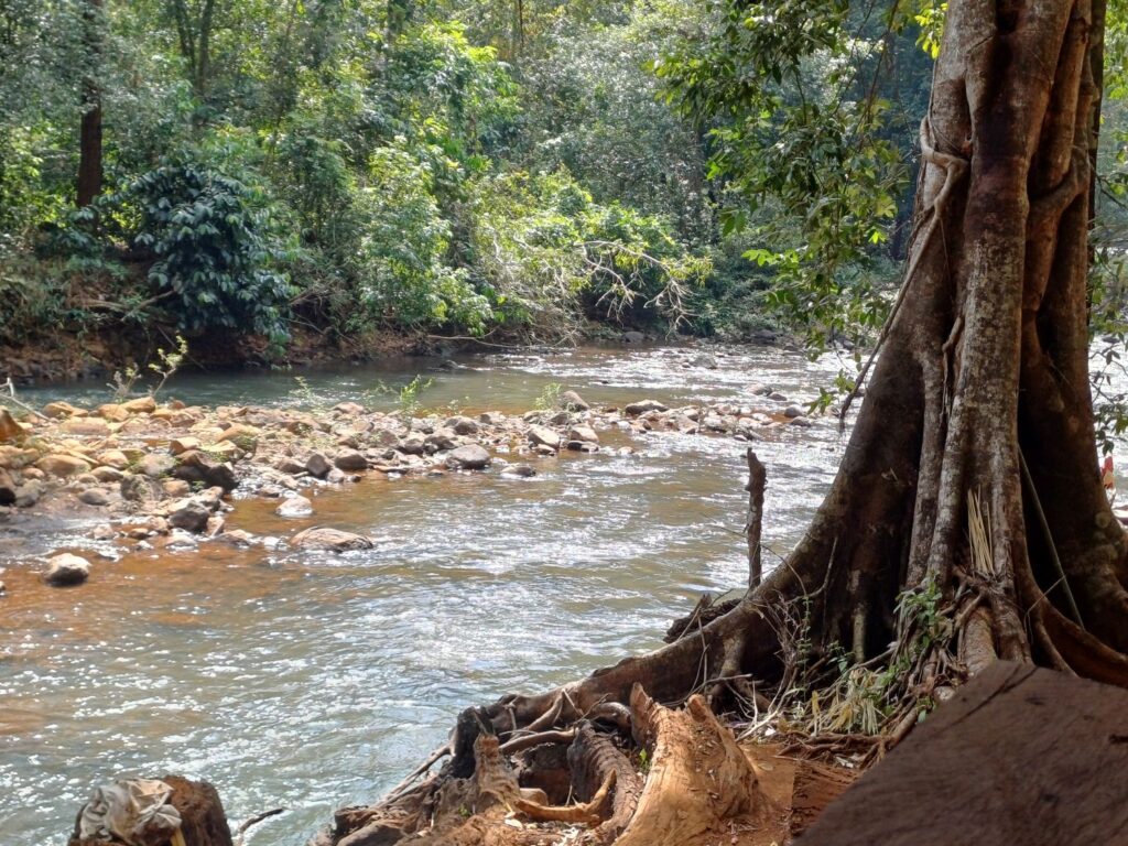 The rushing river in the Cambodian jungle