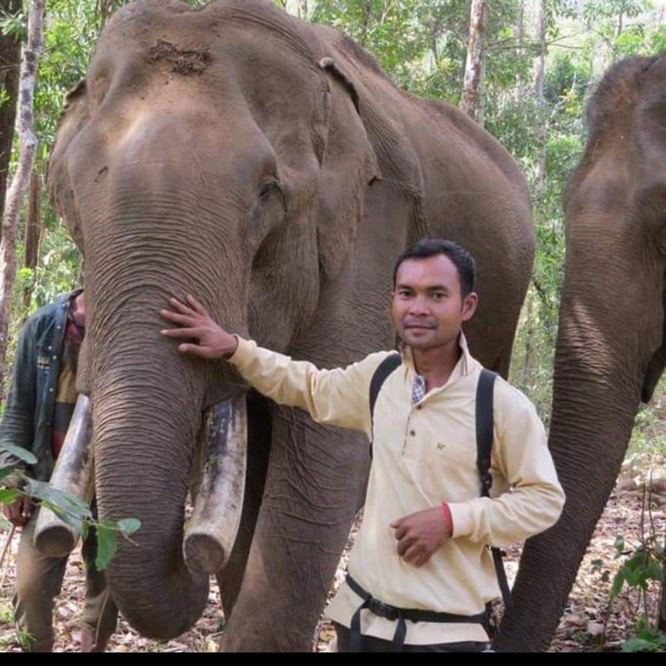 Guide Chantorn Thea (Torn) on the job with the Elephant Community Project.