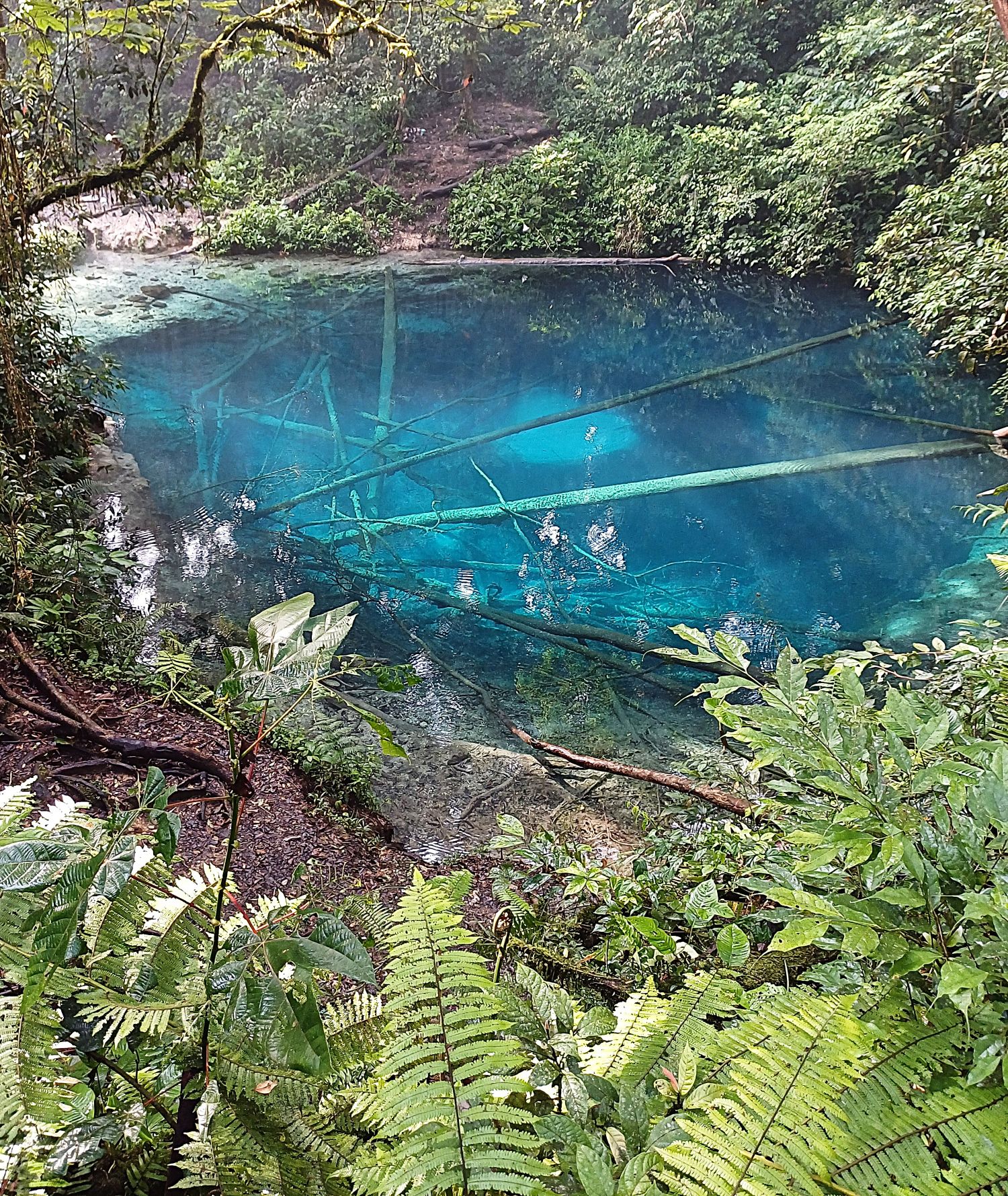 The luminous waters of Lake Kaco