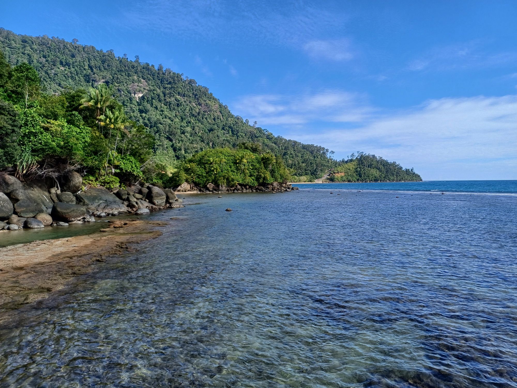 Rainforest meets the sea