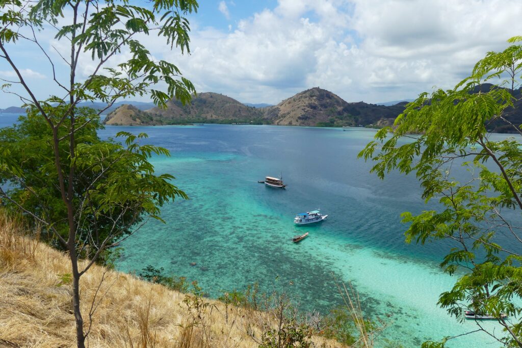 Komodo: Under the sea in the land of dragons. A view of the reef from one of Komodo National Parks many islands.