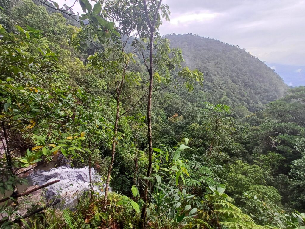 Rainforests and waterfalls of Flores, Indonesia.