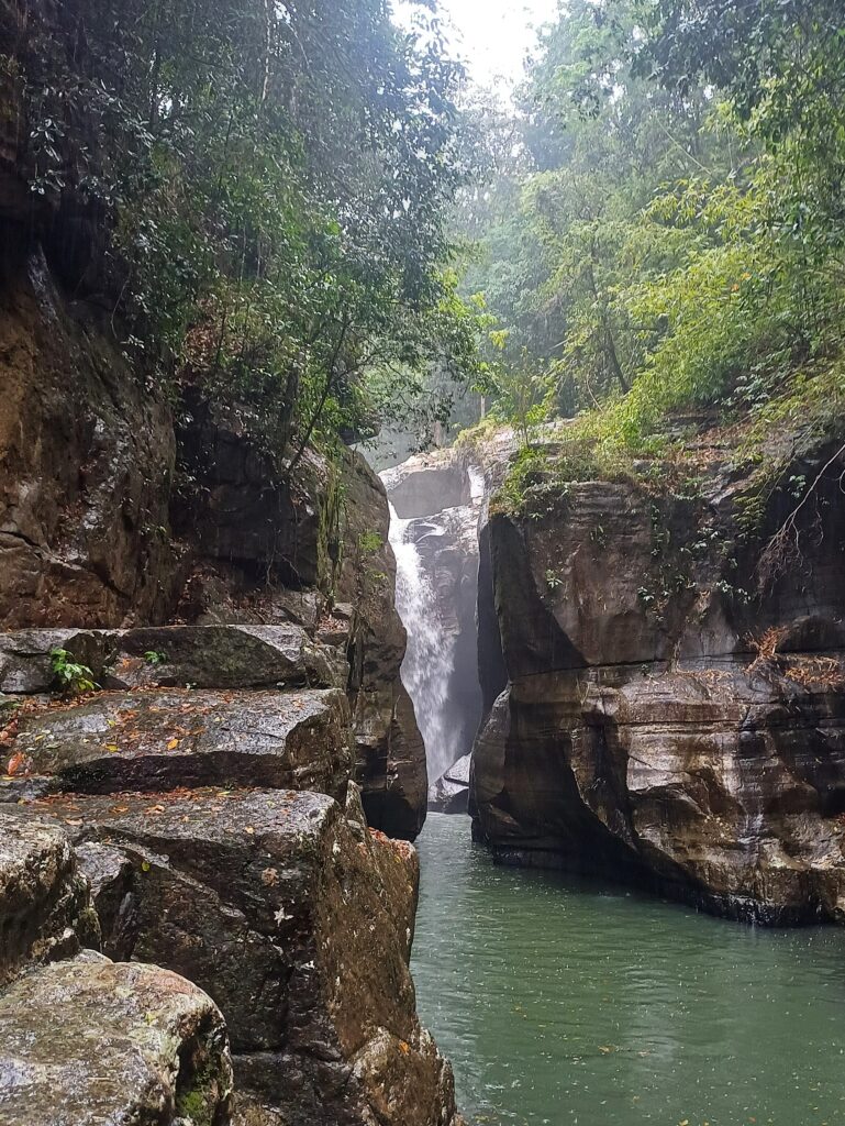 Cascades and rainforests in the heart of Flores